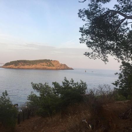 Fanny Wifi Climatise Tout A Pieds 4 Personnes La Ciotat Buitenkant foto